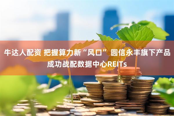 牛达人配资 把握算力新“风口” 圆信永丰旗下产品成功战配数据中心REITs